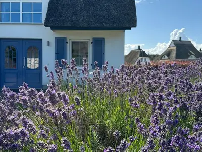 Ferienhaus für 5 Personen (105 m²) in Fuhlendorf (Nordvorpommern) 8/10