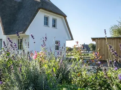 Ferienhaus für 4 Personen (90 m²) in Fuhlendorf (Nordvorpommern) 6/10