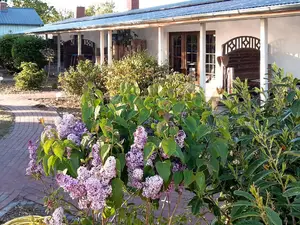 Ferienhaus für 2 Personen (30 m²) in Fuhlendorf (Nordvorpommern)