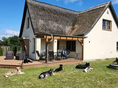 Ferienhaus für 10 Personen (150 m²) in Fuhlendorf (Nordvorpommern) 2/10
