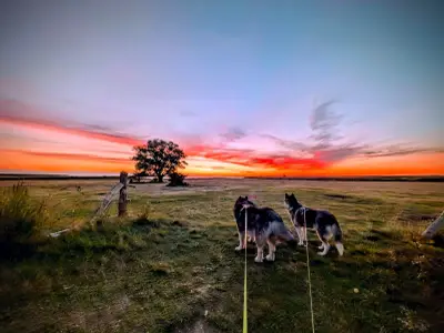 Ferienhaus für 10 Personen (150 m²) in Fuhlendorf (Nordvorpommern) 3/10