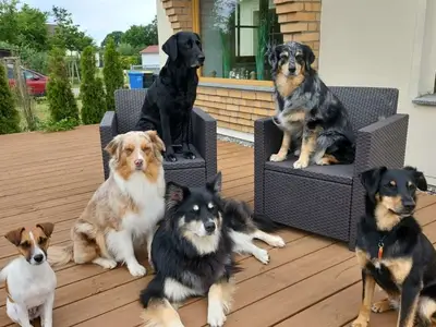 Ferienhaus für 10 Personen (150 m²) in Fuhlendorf (Nordvorpommern) 6/10