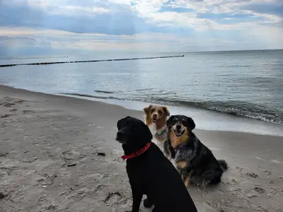 Ferienhaus für 10 Personen (150 m²) in Fuhlendorf (Nordvorpommern) 7/10