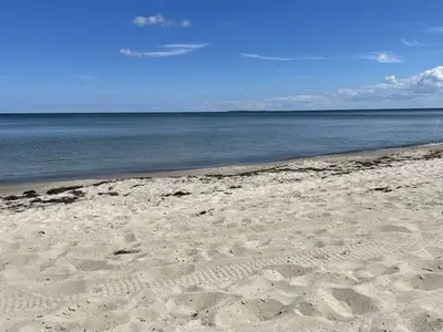 Ferienhaus für 10 Personen (150 m²) in Fuhlendorf (Nordvorpommern) 8/10