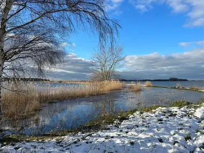Ferienhaus für 4 Personen (84 m²) in Fuhlendorf (Nordvorpommern) 6/10