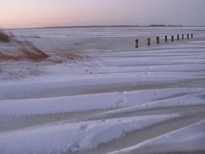 Ferienhaus für 4 Personen (84 m²) in Fuhlendorf (Nordvorpommern) 7/10