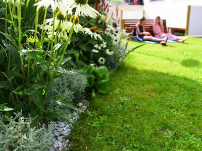 GardenSummer