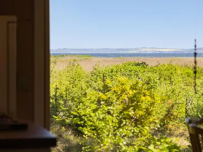 view-from-room
