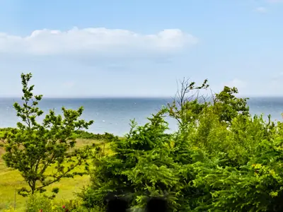 view-from-room