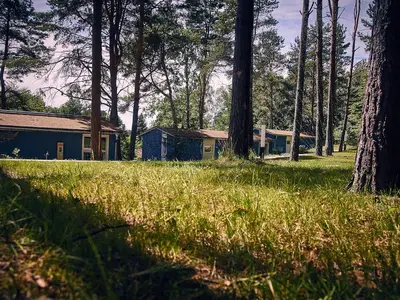 Idyllische Wsldlandschaft 2025