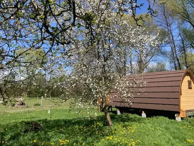 Ferienhaus für 3 Personen (18 m²) in Fürstenfeld 2/10