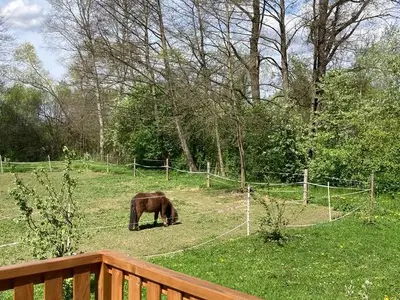 Ferienhaus für 3 Personen (18 m²) in Fürstenfeld 4/10