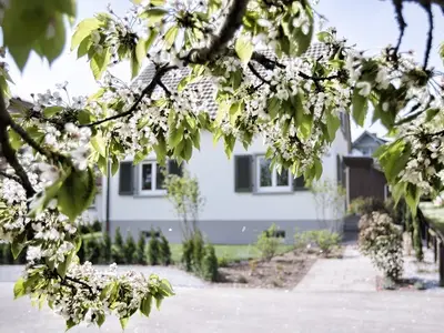 Ferienhaus für 4 Personen (100 m²) in Gaienhofen 6/10