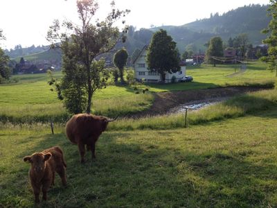 Haus von Süden her gesehen