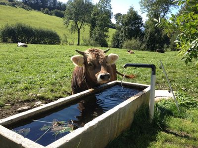 Brunnen vor dem Haus