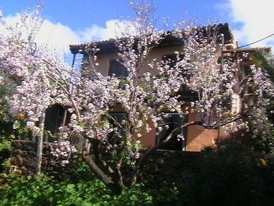 Bio Finca in Mandelblüten Zeit