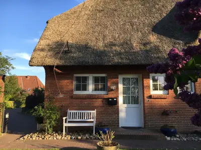 Reetdachhaus