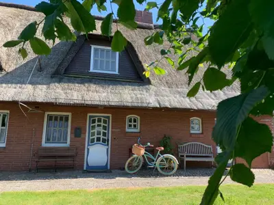 Ferienhaus für 4 Personen (70 m²) in Garding 1/10