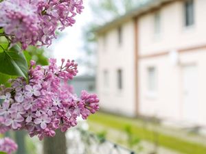 Ferienhaus für 4 Personen (60 m&sup2;) in Garz (Rügen)