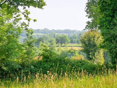 Aussicht vom Ferienhaus [Sommer]