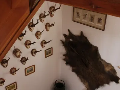 Ferienhaus für 6 Personen in Gebsattel 9/10