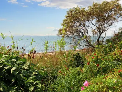 WaterView