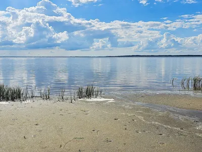 WaterView