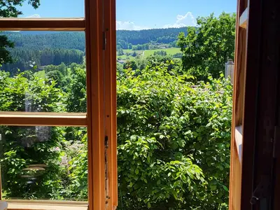 Ausblick