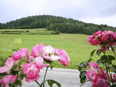 Ferienhaus für 5 Personen (60 m²) in Geiersthal 8/10