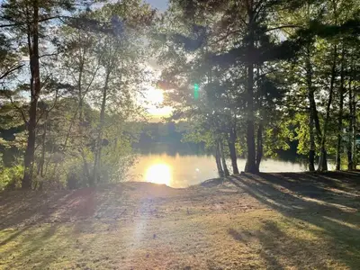 AreaSummer5KM