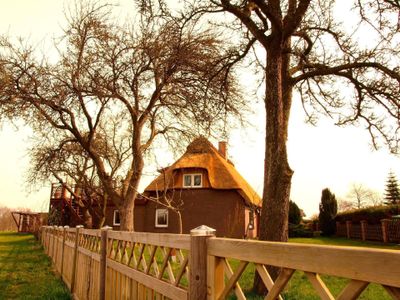 Gartenansicht von anschließender Koppel