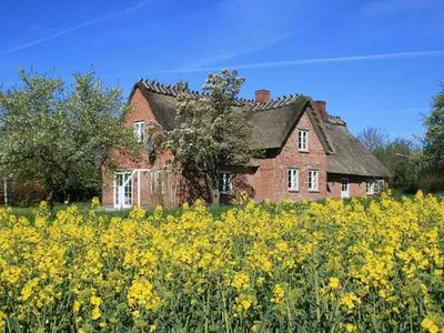 Ferienhaus für 6 Personen (150 m²) in Gelting 1/10