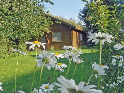 Ferienhaus für 5 Personen (50 m²) in Gelting 3/10