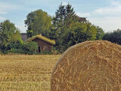 Ferienhaus für 5 Personen (50 m²) in Gelting 6/10