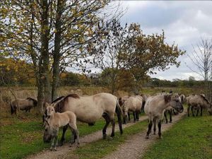 24028148-Ferienhaus-5-Gelting-300x225-3