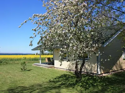 Ferienhaus für 4 Personen (68 m²) in Gelting 3/10