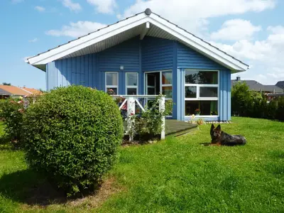 Hunde erlaubt