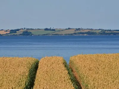 Ferienhaus für 5 Personen (60 m²) in Gelting 8/10