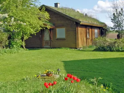 Ferienhaus für 5 Personen (50 m²) in Gelting 2/10