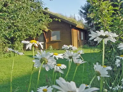 Ferienhaus für 5 Personen (50 m²) in Gelting 3/10