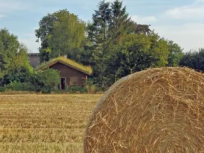 Ferienhaus für 5 Personen (50 m²) in Gelting 6/10