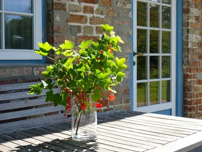 Ferienhaus für 2 Personen (45 m²) in Gelting 2/10