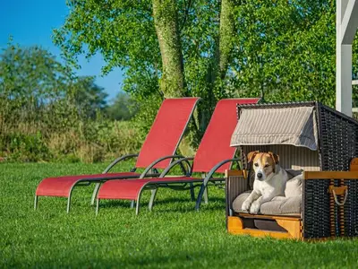 Ferienhaus für 5 Personen (110 m²) in Gelting 5/10