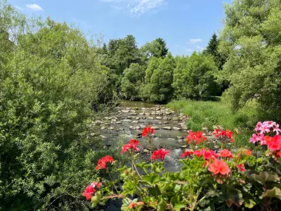 Bachlauf mit Blumen