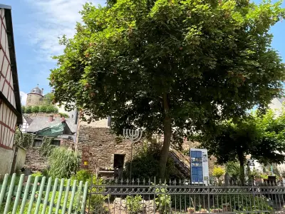 Baum in Gemünden