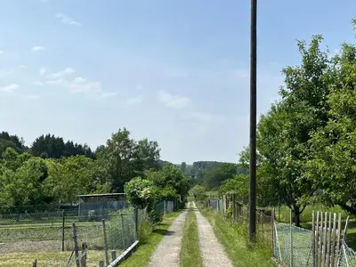 Spazierweg in Gemünden