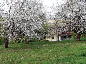 23737274-Ferienhaus-2-Gerersdorf bei Güssing-300x225-5