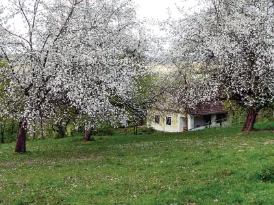 outside