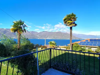 ViewSummer