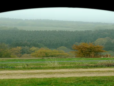 ViewSummer